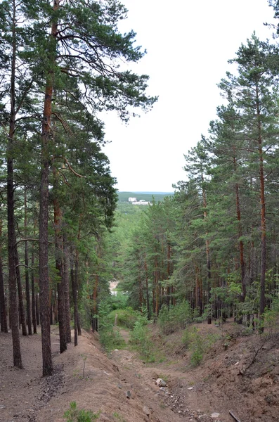 Na floresta de montanha, Parque Natural Nacional do Estado "Burabai", K — Fotografia de Stock