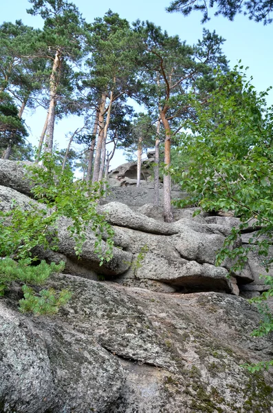 Na floresta de montanha, Parque Natural Nacional do Estado "Burabai", K — Fotografia de Stock