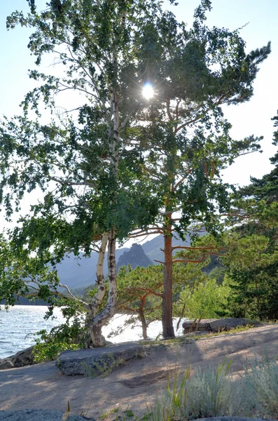 Lago Borovoe, Parque Natural Nacional do Estado "Burabai", Cazaquistão — Fotografia de Stock