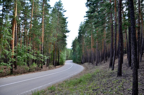 Mountain Road, állam nemzeti Park "Burabai", Kazahsztán — Stock Fotó