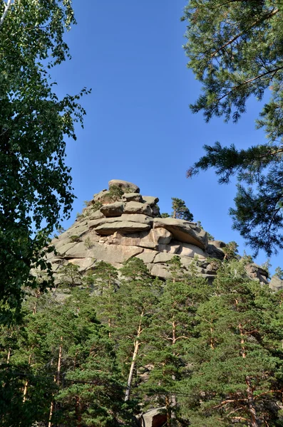 V horském lese, státní národní Park "Burabai", K — Stock fotografie