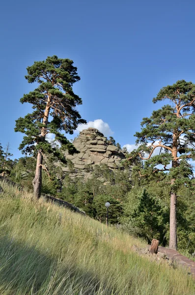 Na floresta de montanha, Parque Natural Nacional do Estado "Burabai", K — Fotografia de Stock