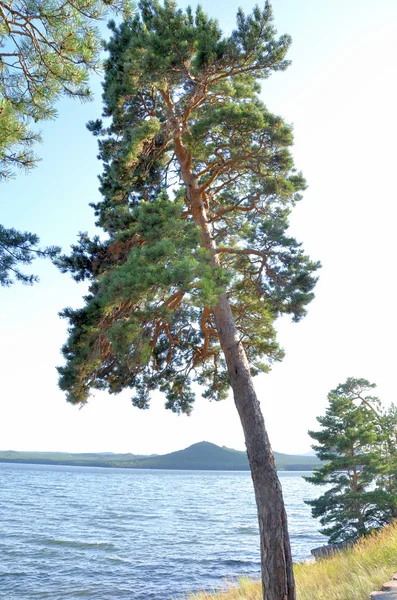 Lago Borovoe, Parque Natural Nacional do Estado "Burabai", Cazaquistão — Fotografia de Stock