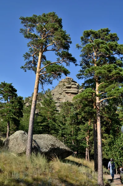 Na floresta de montanha, Parque Natural Nacional do Estado "Burabai", K — Fotografia de Stock