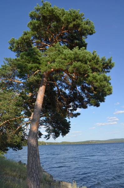 Озеро Borovoe, державний Національний природний парк "Burabai", Казахстан — стокове фото