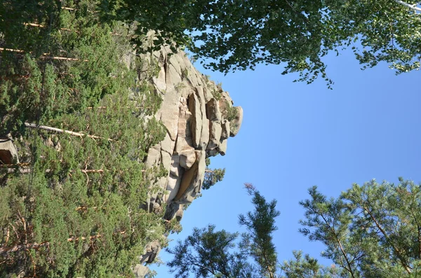 Na floresta de montanha, Parque Natural Nacional do Estado "Burabai", K — Fotografia de Stock