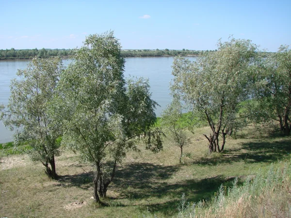 Irtyš řeka, Omsk kraj, Sibiř, Rusko — Stock fotografie