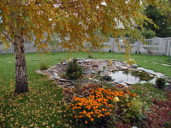 Kleine vijver in de tuin, Omsk Region, Rusland — Stockfoto