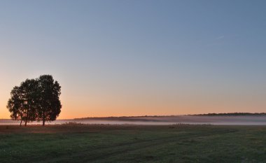 İlk ray sunshinet, Omsk region, Rusya Federasyonu