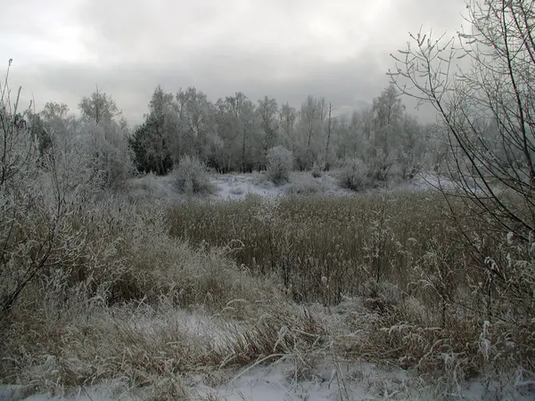 겨울, 공원, 옴스크, 서 시베리아, 러시아에서 — 스톡 사진