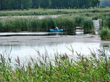 Nehir Yaman, Omsk region, Rusya Federasyonu, Temmuz 2011