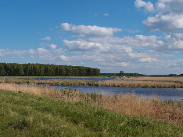 Folyó Yaman, Omsk region, Oroszország — Stock Fotó