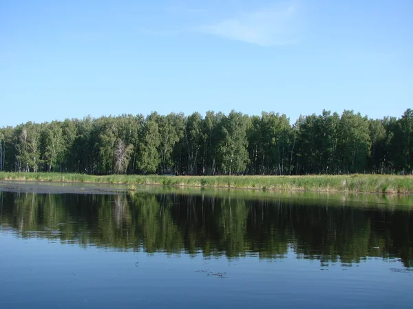 Река Яман, Омская область, Россия, июль 2011 — стоковое фото