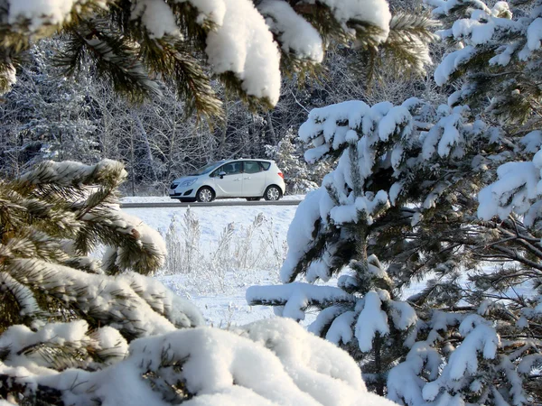 Biały samochód na tle śniegu forestr syberyjski, Omsk r — Zdjęcie stockowe
