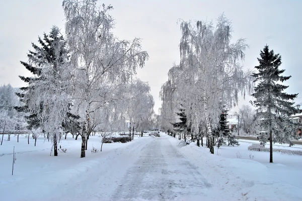 Parc de la ville d'hiver de Sibérie, région d'Omsk — Photo