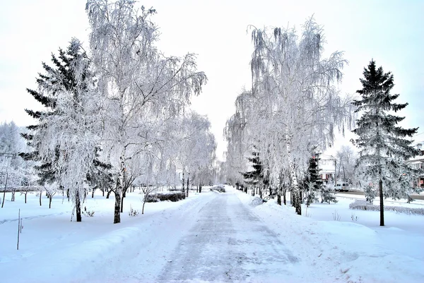 Sibirischer Stadtpark im Winter, Region Omsk — Stockfoto