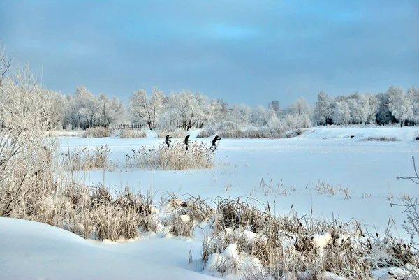 Χειμώνα Σιβηρικό δάσος, Περιφέρεια Ομσκ — Φωτογραφία Αρχείου