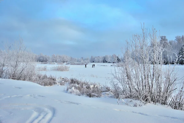 Foresta siberiana invernale, regione di Omsk — Foto Stock