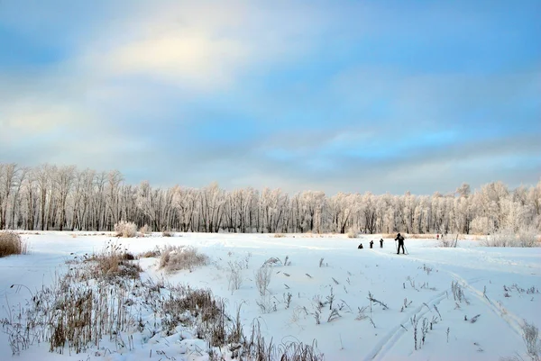 Foresta siberiana invernale, regione di Omsk — Foto Stock