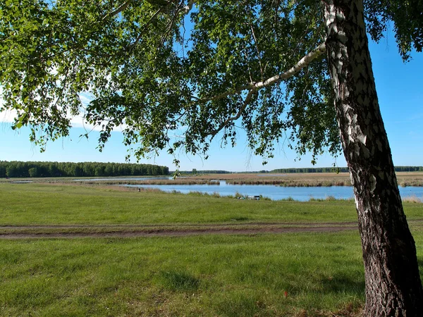 Região do rio Yaman Omsk — Fotografia de Stock