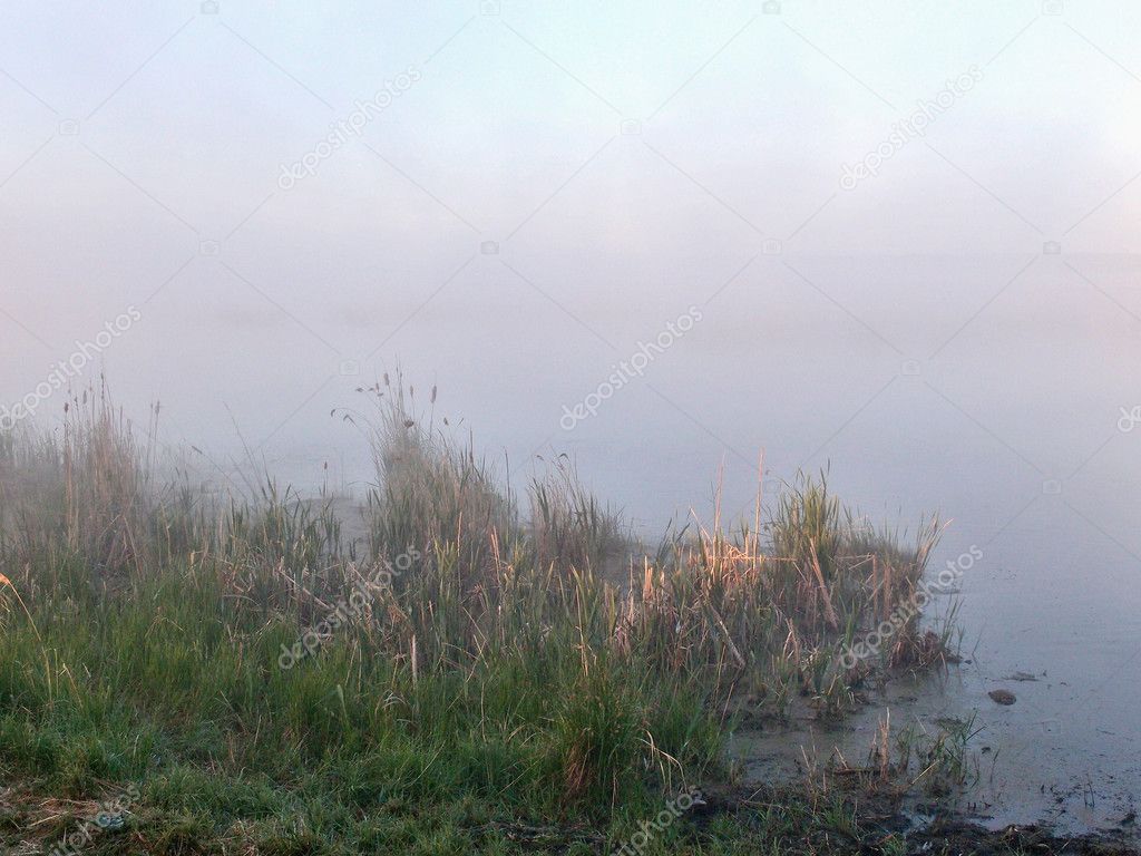 Fog on the river Yaman