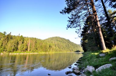 Biya görünümünü