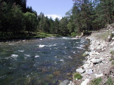 Nehir Kuba Altai Cumhuriyeti 