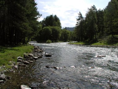 Nehir Chemal Altay Cumhuriyeti