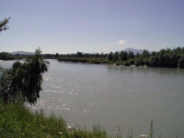 Nehir Katun Altay Cumhuriyeti