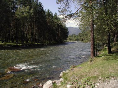 Nehir Kuba Altai Cumhuriyeti