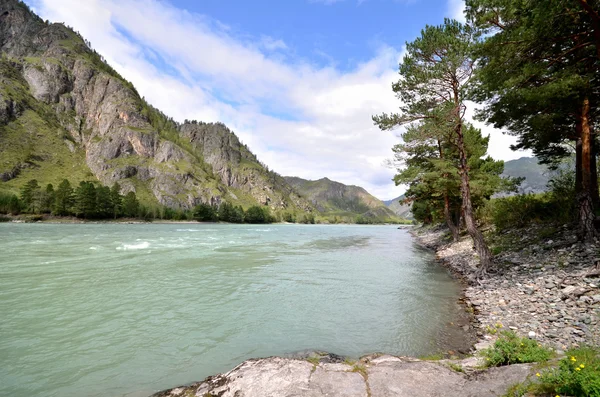 Vista de la República de Katun Altai —  Fotos de Stock