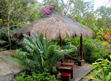 Gazebo ormanda dozhdevuh Yanoda, Çin, Hainan Adası, Mayıs 2011 dinlenmek için