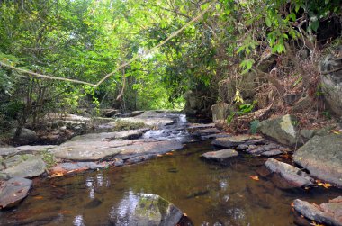 Creek dağlarda, Çin, Hainan Adası, Yalongbay, Yanoda, Mayıs 2011 park