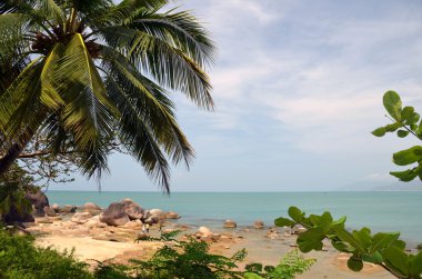 Palmiye ağaçlarının sahile, lütuf, Park dünyanın sonu, Çin, Hainan, Sania
