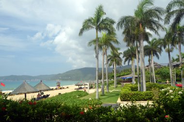 Palmiye ağaçlarının sahile, ödül, Yalong bay, Çin, Hainan, Sania