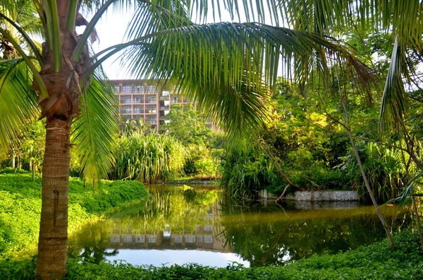 Étang dans le parc hôtel YALONG BAY MANGROVE TREE, Chine, Hainan , — Photo