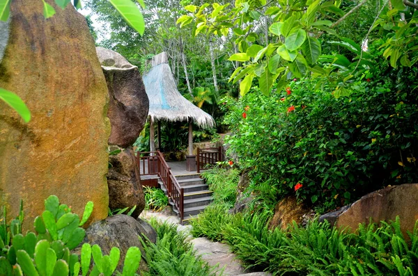 Gazebo to relax in the jungle dozhdevuh Yanoda, China, island of — Stock Photo, Image