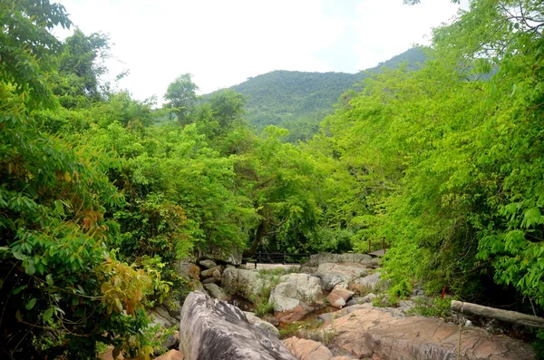 Ruisseau dans les montagnes, Chine, île de Hainan, Yalongbay, parc Ya — Photo