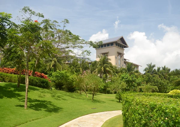 Spår i trädgården, Kina, Hainan Island, 2011 — Stockfoto