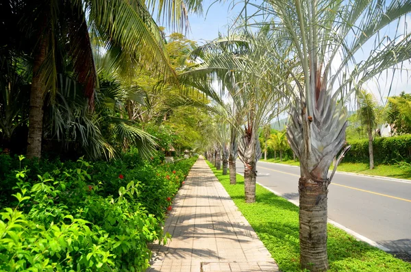 Die straße entlang der yalong bucht, china, sanya, mai 2011 — Stockfoto