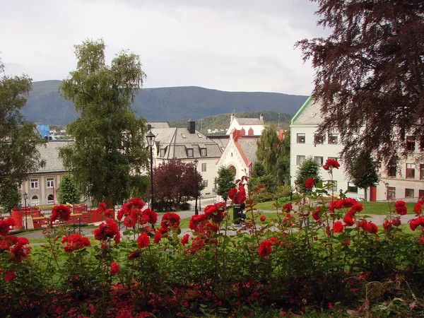 Alesund Flowers, Norwegia — Zdjęcie stockowe