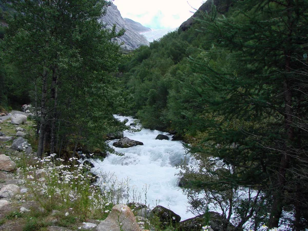 Fiume di montagna Norvegia — Foto Stock