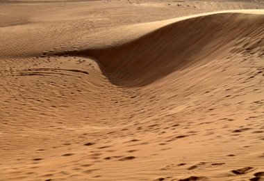 Dunes çölde, Dubai, Birleşik Arap Emirlikleri