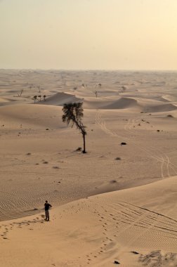 Dunes çölde, Dubai, Birleşik Arap Emirlikleri