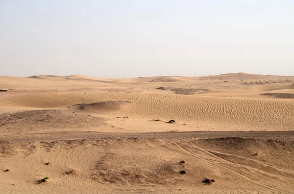 Dunes çölde, Dubai, Birleşik Arap Emirlikleri