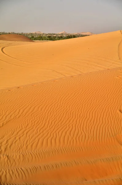 Die dünen in der wüste, dubai, vereinigte arabische emirate — Stockfoto