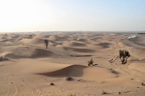 As dunas no deserto, Dubai, Emirados Árabes Unidos — Fotografia de Stock