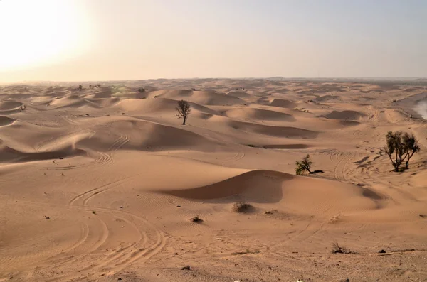 As dunas no deserto, Dubai, Emirados Árabes Unidos — Fotografia de Stock