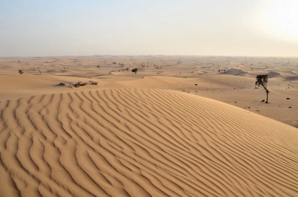 Die dünen in der wüste, dubai, vereinigte arabische emirate — Stockfoto