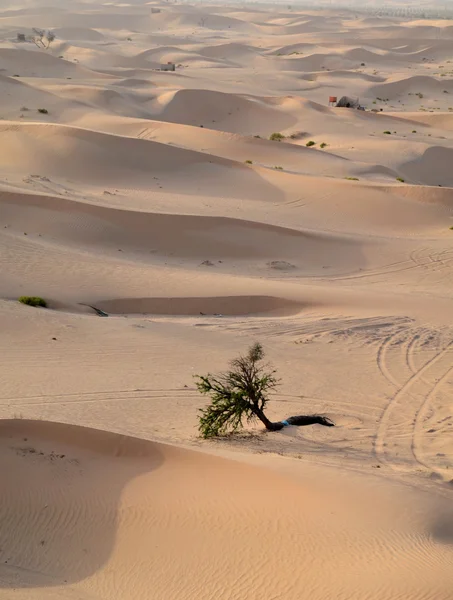 Wydmy pustyni, Dubai, Zjednoczone Emiraty Arabskie — Zdjęcie stockowe
